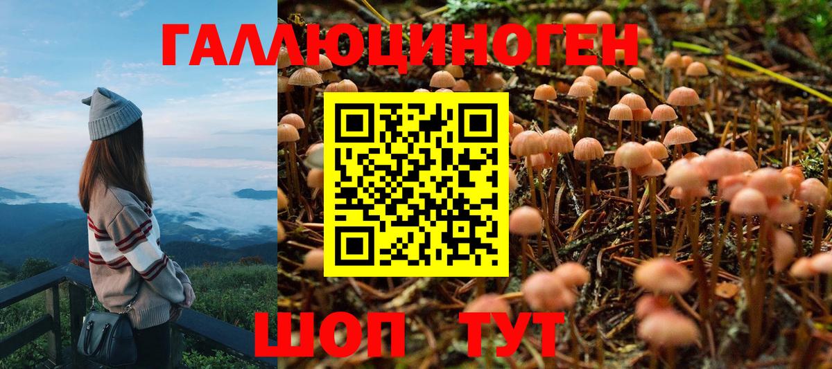 Галлюциногенные грибы мухоморы  Вход с VPN  цены наркотик  Канаш 