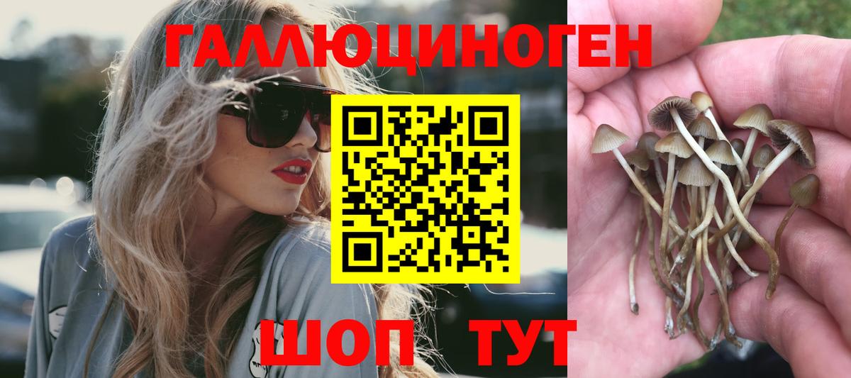 Псилоцибиновые грибы ЛСД Канаш